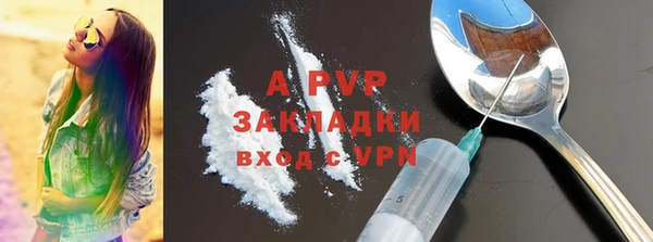 PSILOCYBIN Переславль-Залесский