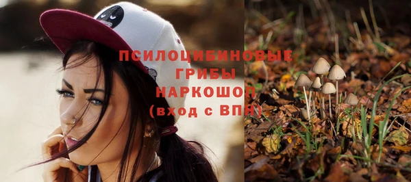 бошки Алзамай